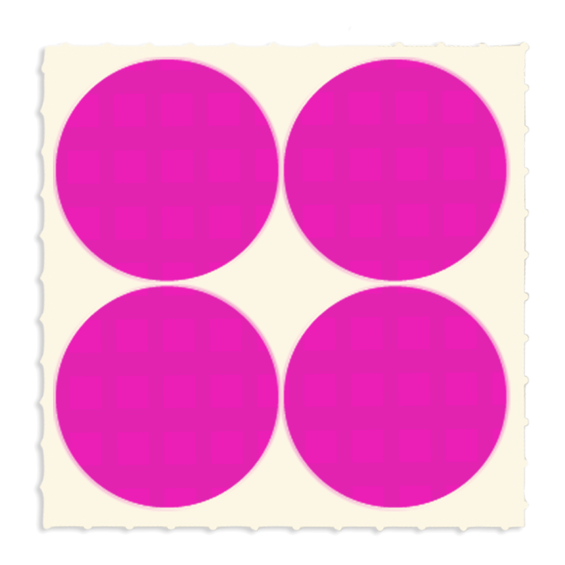 Fluorescent Pink Blank